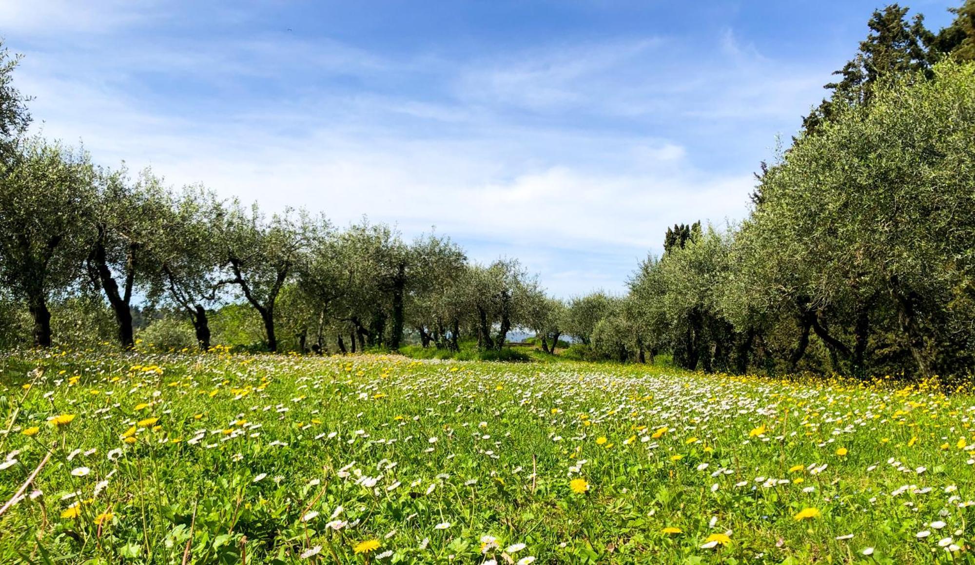 Appartamento La Tonnaia Lari Esterno foto