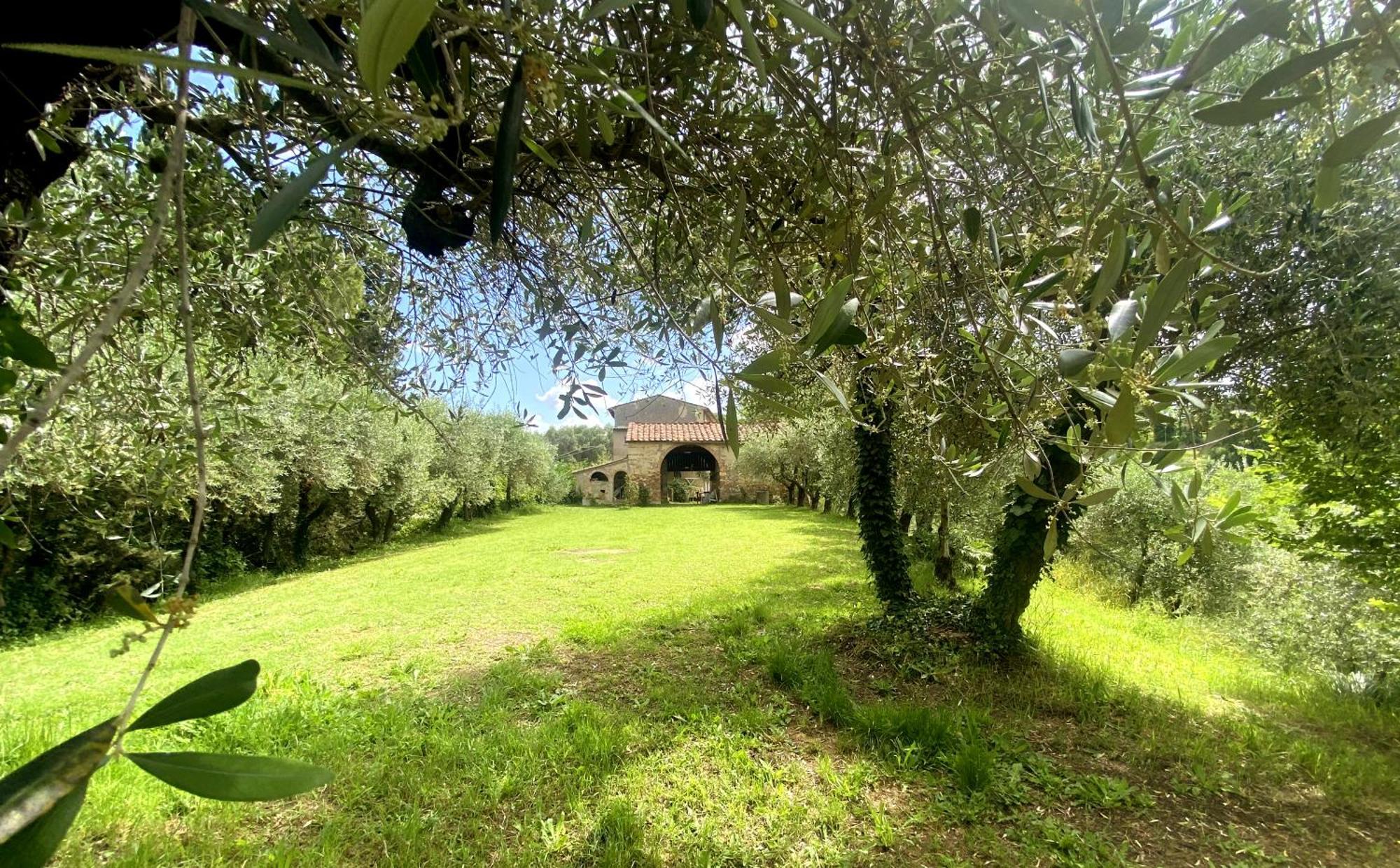 Appartamento La Tonnaia Lari Esterno foto